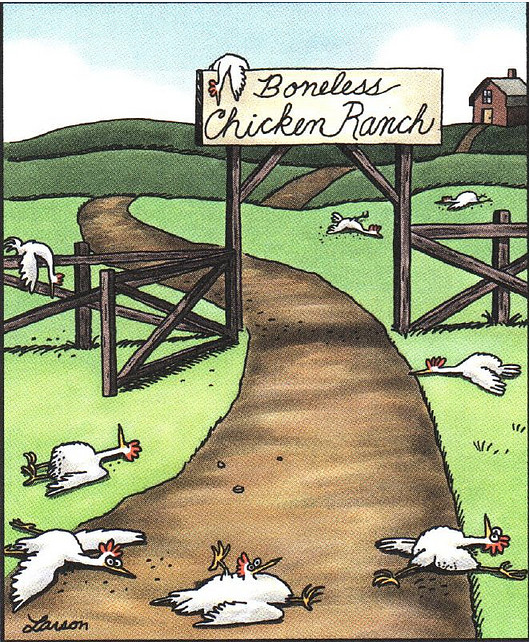 boneless-chicken-ranch-far-side-247x300