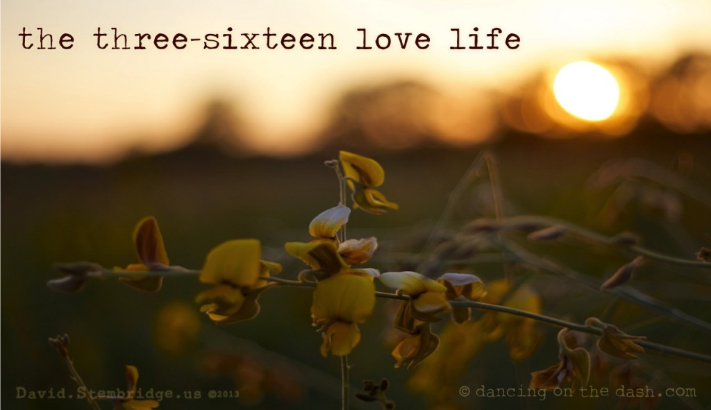 three-sixteen love life