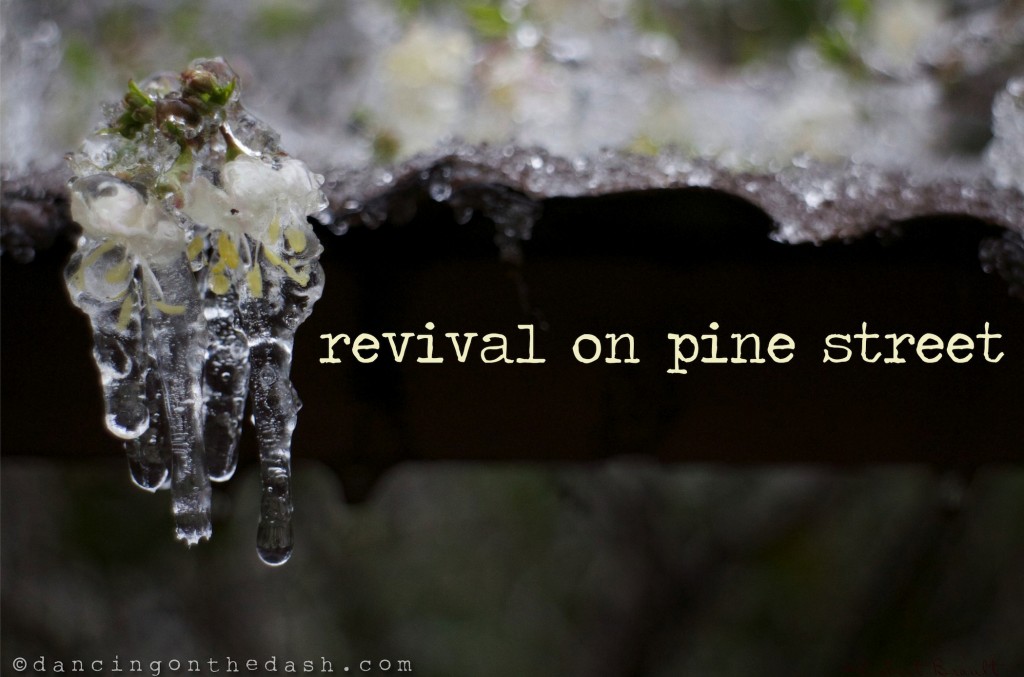 revival on pine street