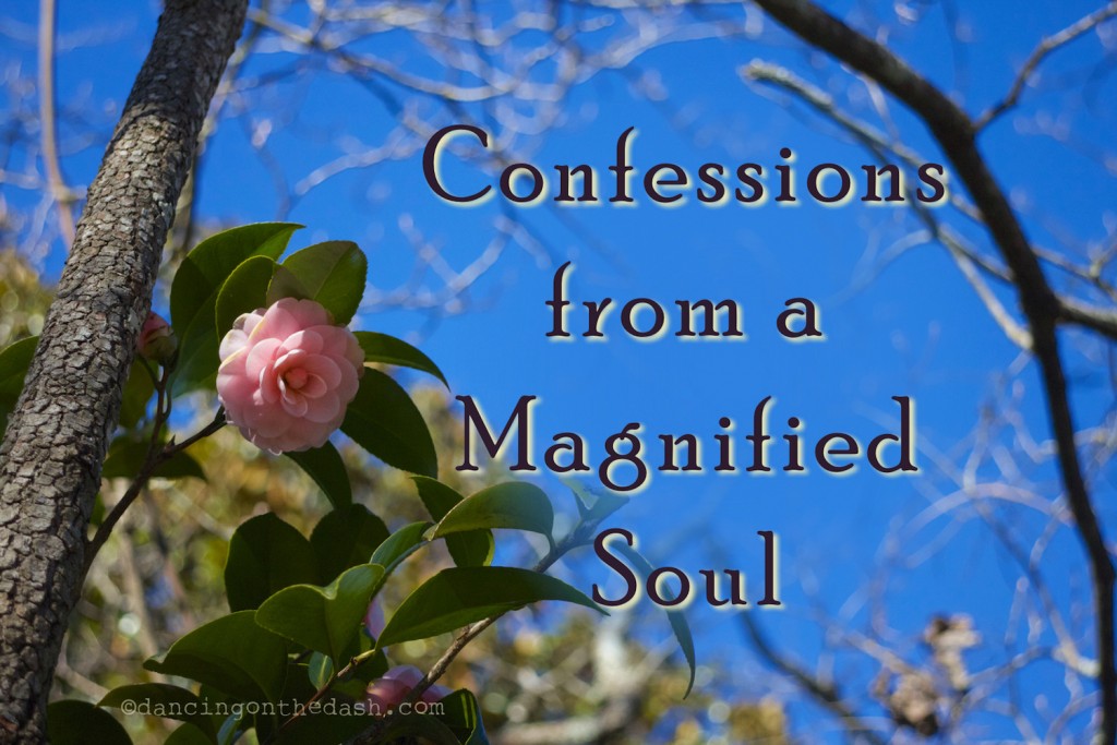 Confessions from a Magnified Soul